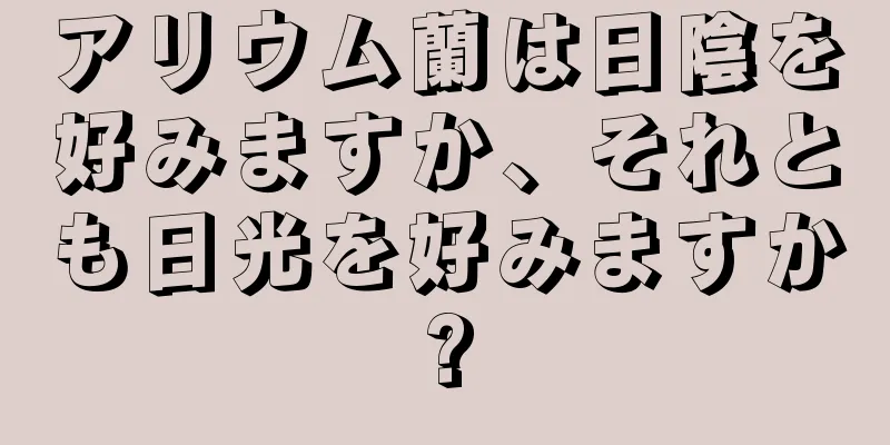 アリウム蘭は日陰を好みますか、それとも日光を好みますか?