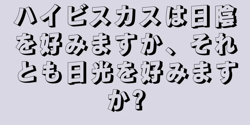 ハイビスカスは日陰を好みますか、それとも日光を好みますか?