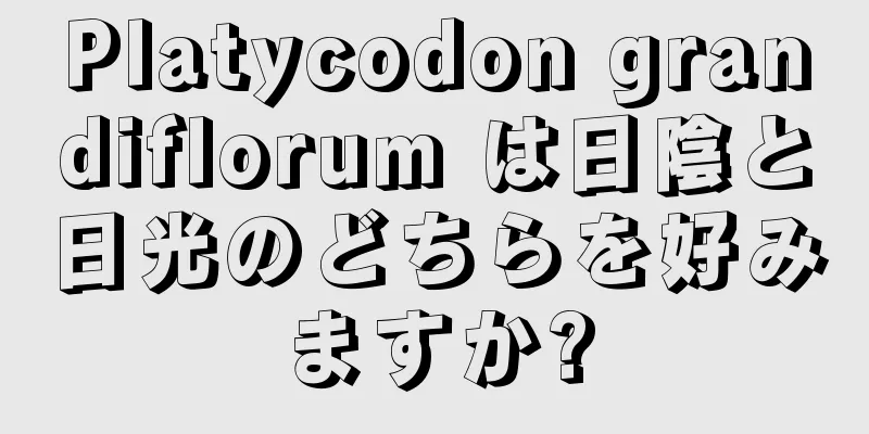 Platycodon grandiflorum は日陰と日光のどちらを好みますか?