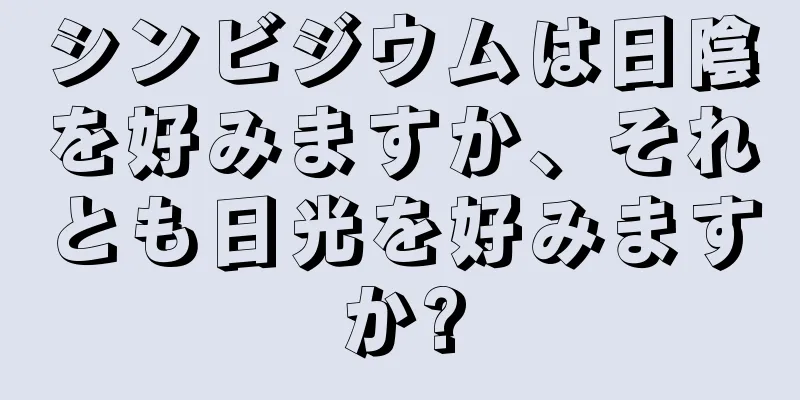 シンビジウムは日陰を好みますか、それとも日光を好みますか?
