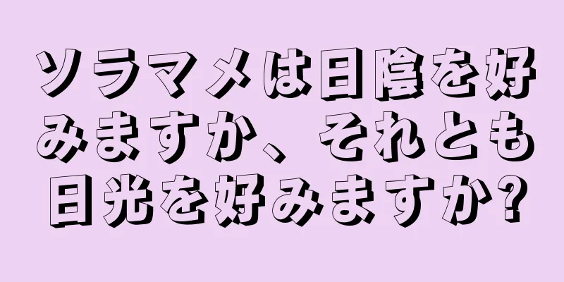 ソラマメは日陰を好みますか、それとも日光を好みますか?
