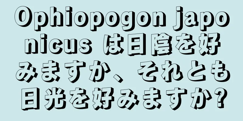 Ophiopogon japonicus は日陰を好みますか、それとも日光を好みますか?