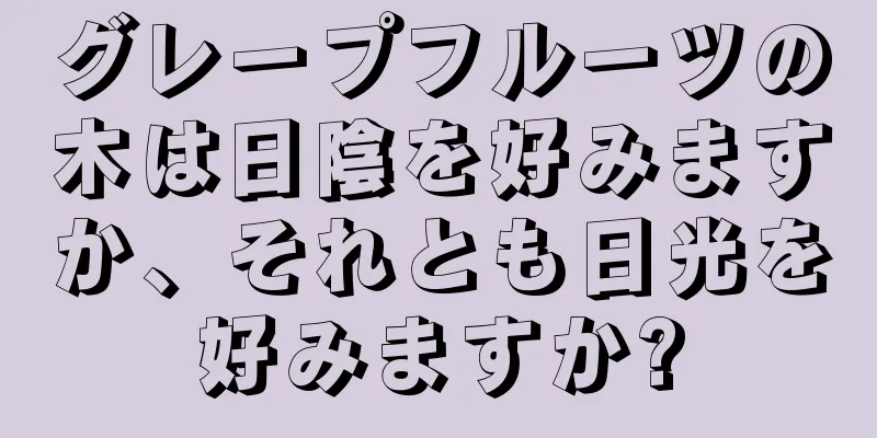グレープフルーツの木は日陰を好みますか、それとも日光を好みますか?