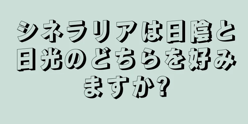 シネラリアは日陰と日光のどちらを好みますか?