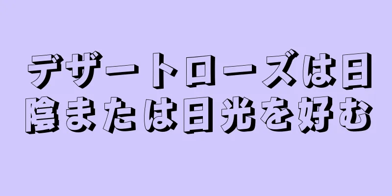 デザートローズは日陰または日光を好む