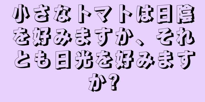 小さなトマトは日陰を好みますか、それとも日光を好みますか?
