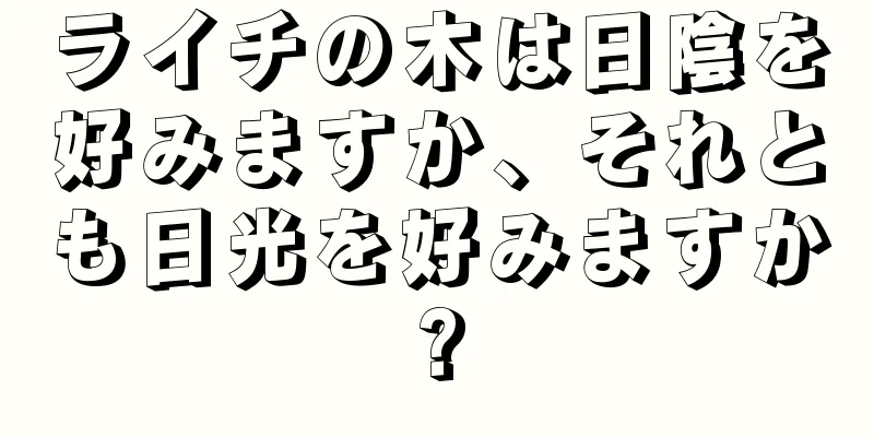ライチの木は日陰を好みますか、それとも日光を好みますか?