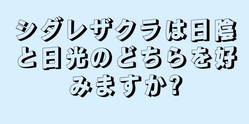 シダレザクラは日陰と日光のどちらを好みますか?