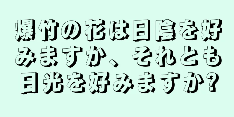 爆竹の花は日陰を好みますか、それとも日光を好みますか?