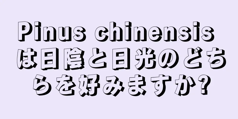 Pinus chinensis は日陰と日光のどちらを好みますか?
