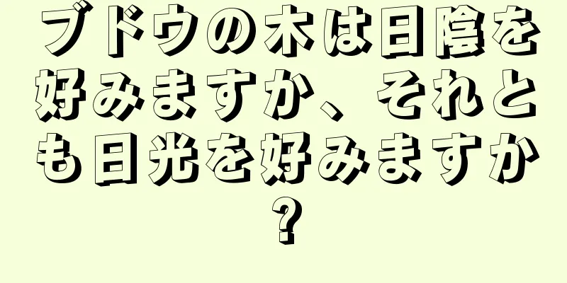 ブドウの木は日陰を好みますか、それとも日光を好みますか?