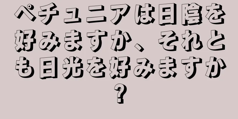 ペチュニアは日陰を好みますか、それとも日光を好みますか?