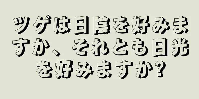 ツゲは日陰を好みますか、それとも日光を好みますか?