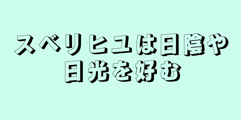 スベリヒユは日陰や日光を好む