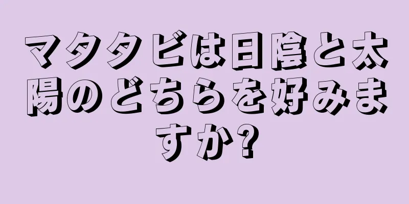 マタタビは日陰と太陽のどちらを好みますか?