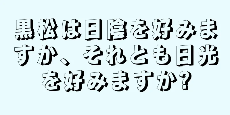 黒松は日陰を好みますか、それとも日光を好みますか?