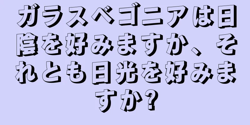 ガラスベゴニアは日陰を好みますか、それとも日光を好みますか?