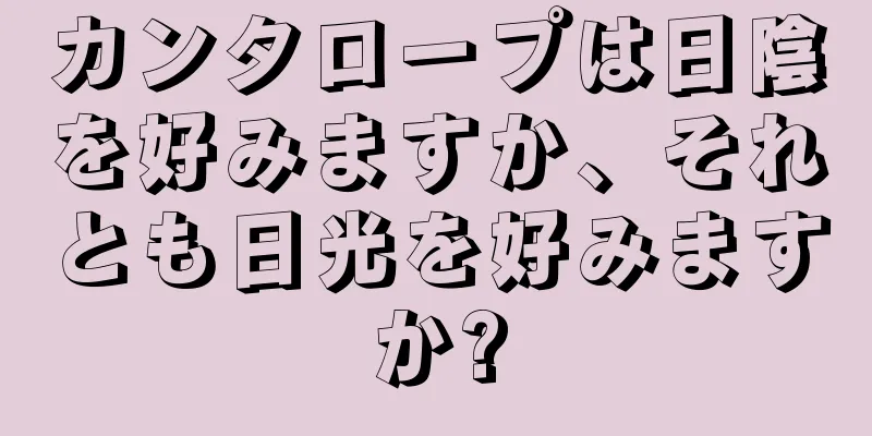 カンタロープは日陰を好みますか、それとも日光を好みますか?