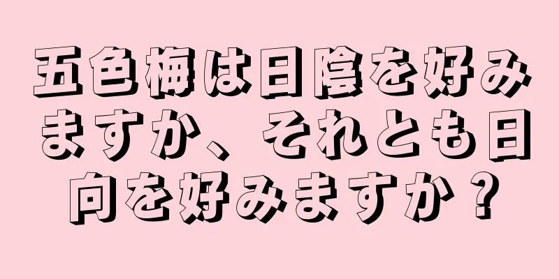 五色梅は日陰を好みますか、それとも日向を好みますか？