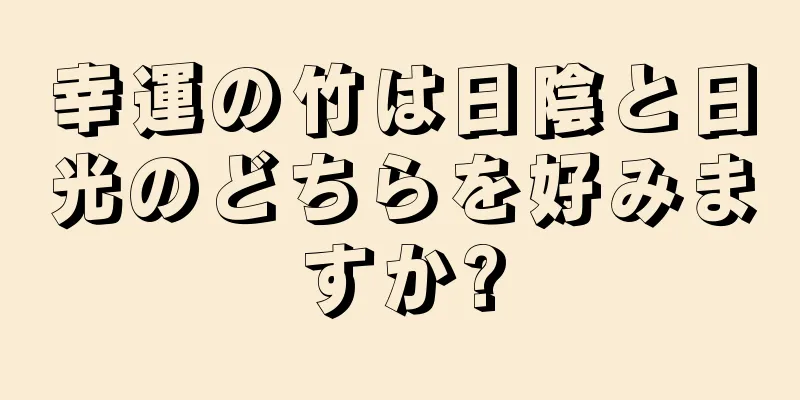 幸運の竹は日陰と日光のどちらを好みますか?