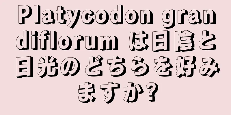 Platycodon grandiflorum は日陰と日光のどちらを好みますか?