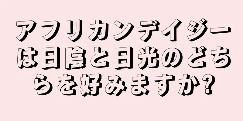 アフリカンデイジーは日陰と日光のどちらを好みますか?