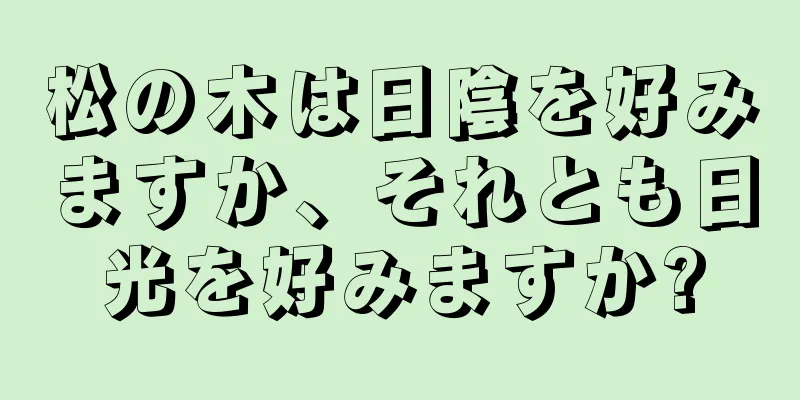 松の木は日陰を好みますか、それとも日光を好みますか?