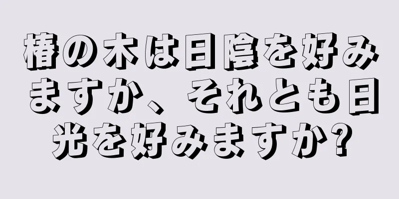 椿の木は日陰を好みますか、それとも日光を好みますか?