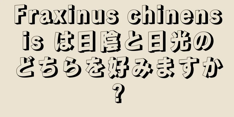 Fraxinus chinensis は日陰と日光のどちらを好みますか?