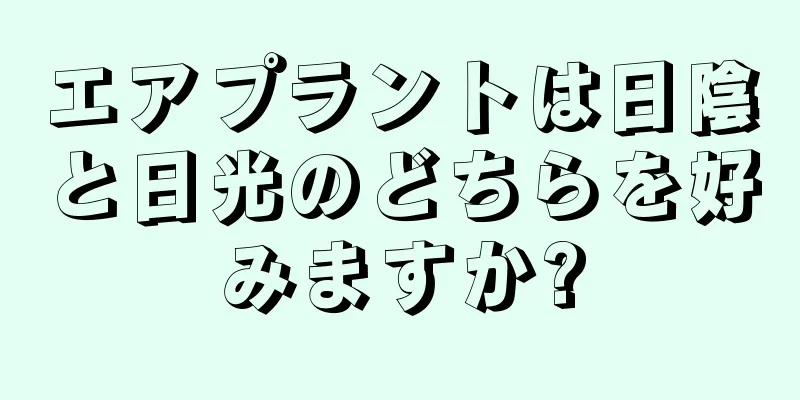 エアプラントは日陰と日光のどちらを好みますか?