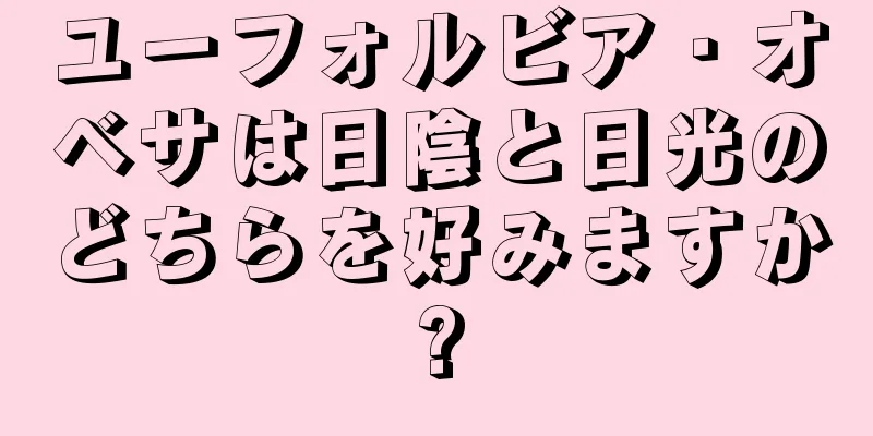 ユーフォルビア・オベサは日陰と日光のどちらを好みますか?