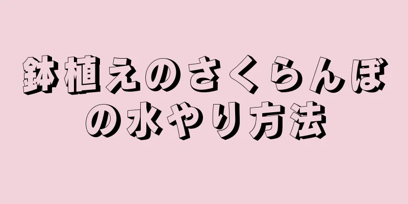 鉢植えのさくらんぼの水やり方法