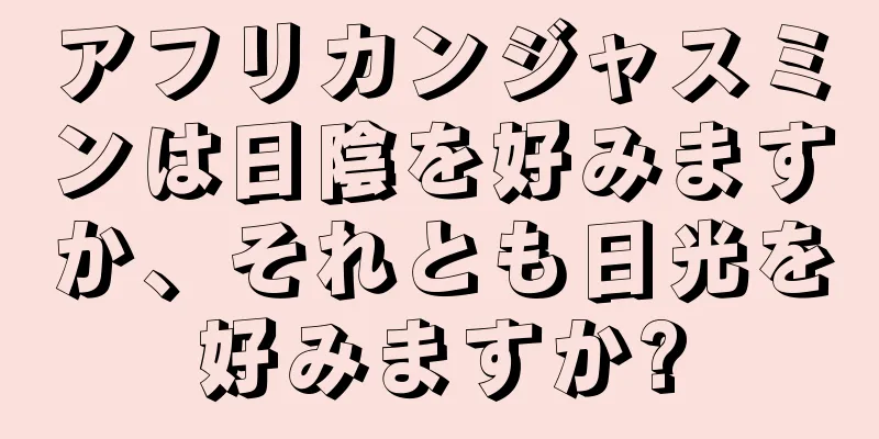 アフリカンジャスミンは日陰を好みますか、それとも日光を好みますか?