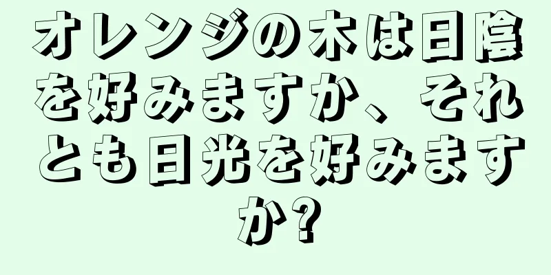 オレンジの木は日陰を好みますか、それとも日光を好みますか?