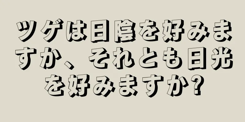 ツゲは日陰を好みますか、それとも日光を好みますか?