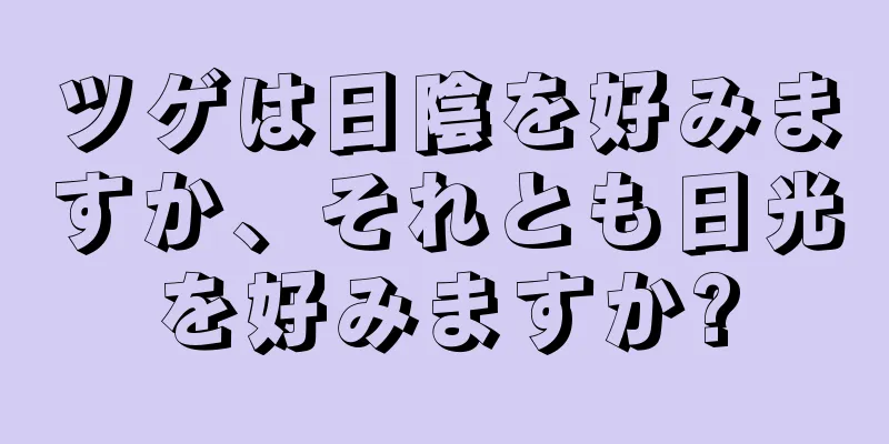 ツゲは日陰を好みますか、それとも日光を好みますか?