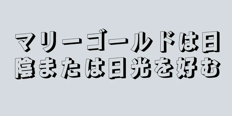 マリーゴールドは日陰または日光を好む
