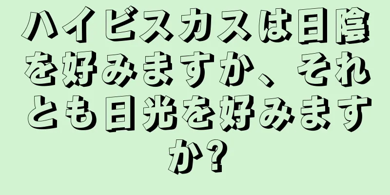 ハイビスカスは日陰を好みますか、それとも日光を好みますか?