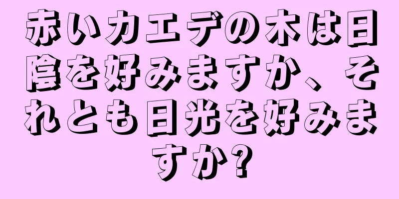 赤いカエデの木は日陰を好みますか、それとも日光を好みますか?