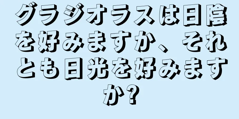 グラジオラスは日陰を好みますか、それとも日光を好みますか?