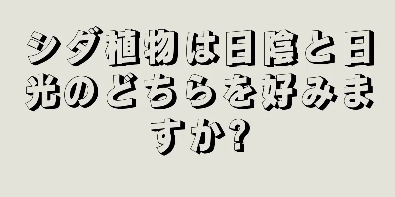 シダ植物は日陰と日光のどちらを好みますか?