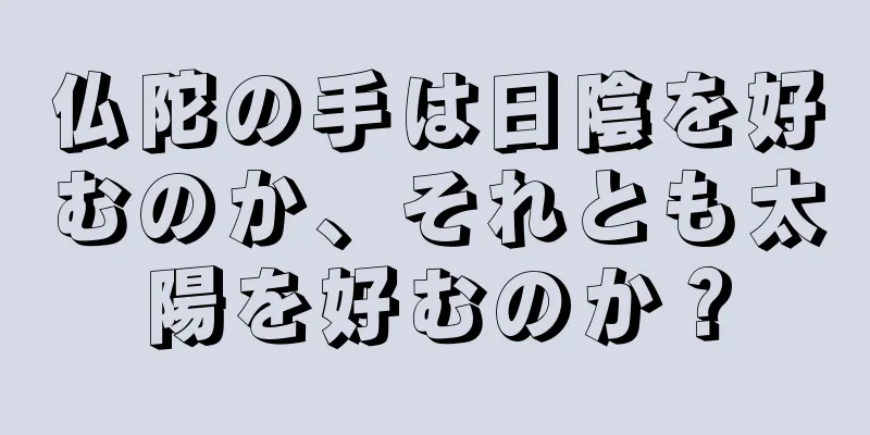 仏陀の手は日陰を好むのか、それとも太陽を好むのか？