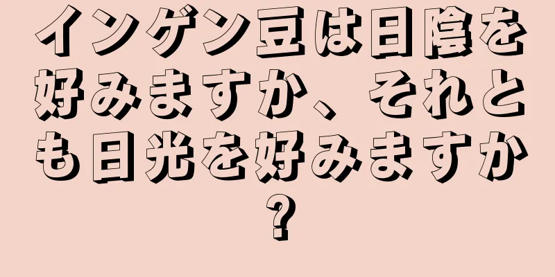 インゲン豆は日陰を好みますか、それとも日光を好みますか?