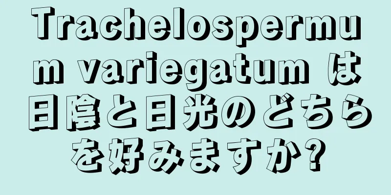 Trachelospermum variegatum は日陰と日光のどちらを好みますか?