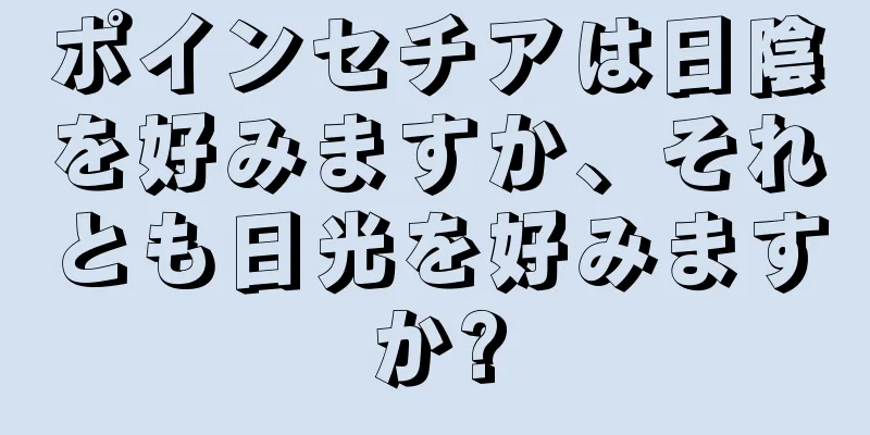 ポインセチアは日陰を好みますか、それとも日光を好みますか?