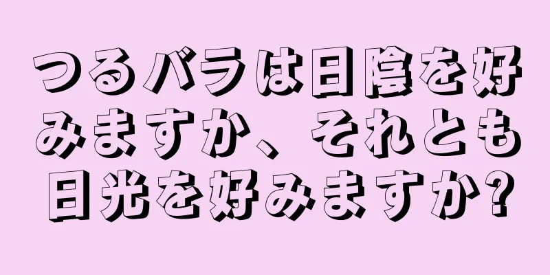 つるバラは日陰を好みますか、それとも日光を好みますか?