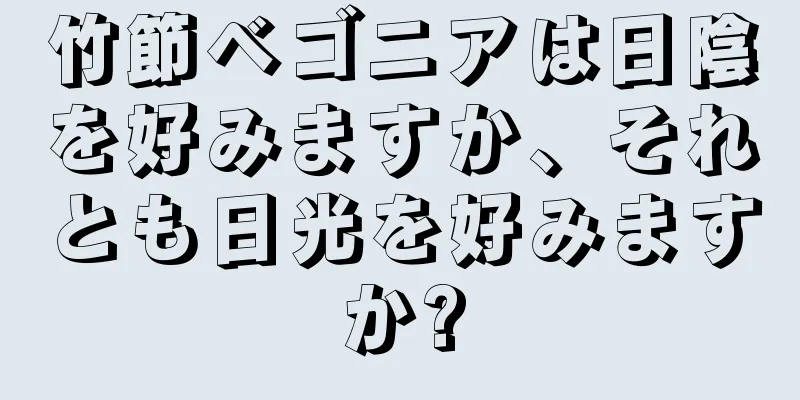 竹節ベゴニアは日陰を好みますか、それとも日光を好みますか?
