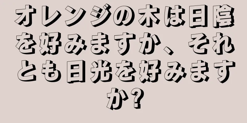 オレンジの木は日陰を好みますか、それとも日光を好みますか?