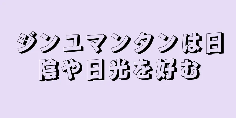 ジンユマンタンは日陰や日光を好む