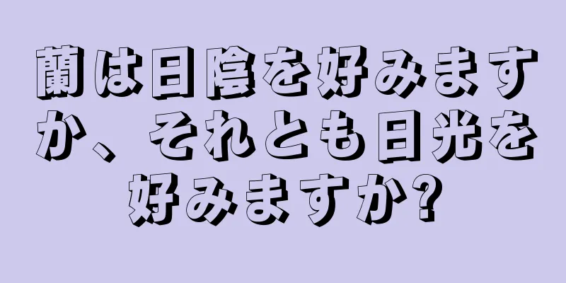 蘭は日陰を好みますか、それとも日光を好みますか?
